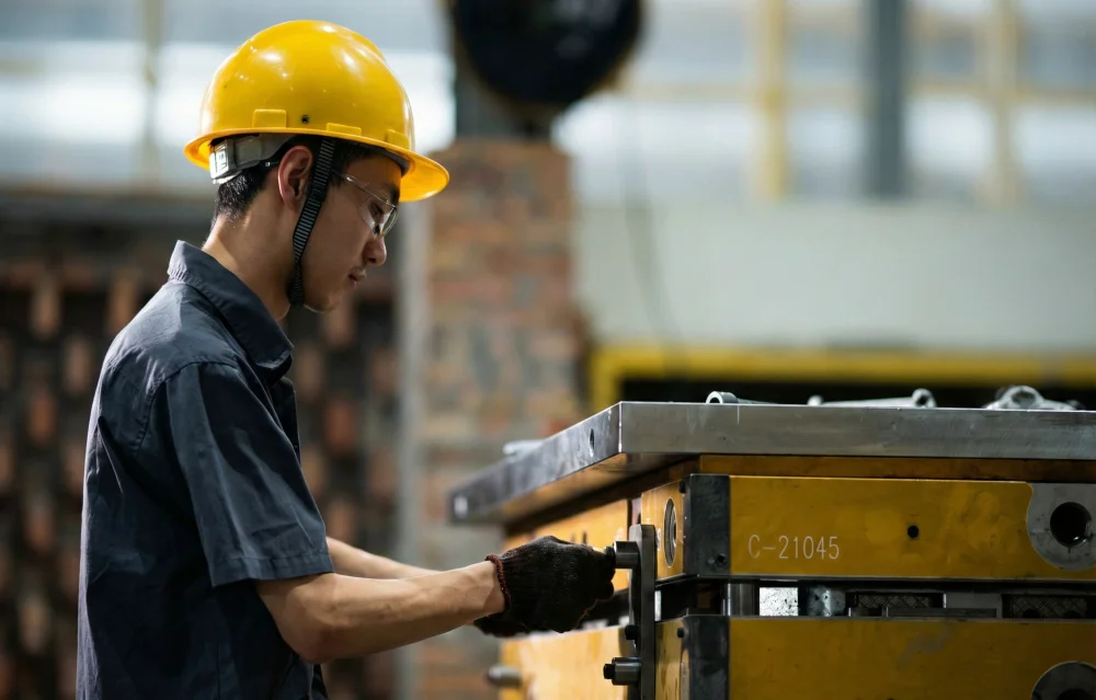 Validation Gallery Image